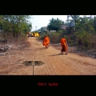 ThisWay