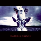 practising_angels_2