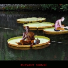 BUOYANTMONKS