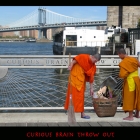 CURIOUSBRAINTHROWOUT