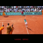 NADALSERVES