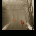 SEPARATEREALITIES