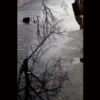 near_moma