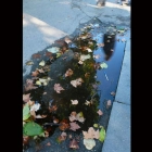 washington_square