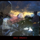 1.5-bali_dream