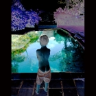 2.11-adams_dream