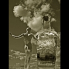 2.19-into_the_drink