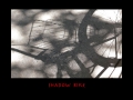 4.37-shadow_bike