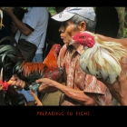 preparingtofight