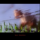ricefarmer1