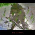 ricefarmer6