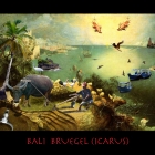 balibruegelicarus