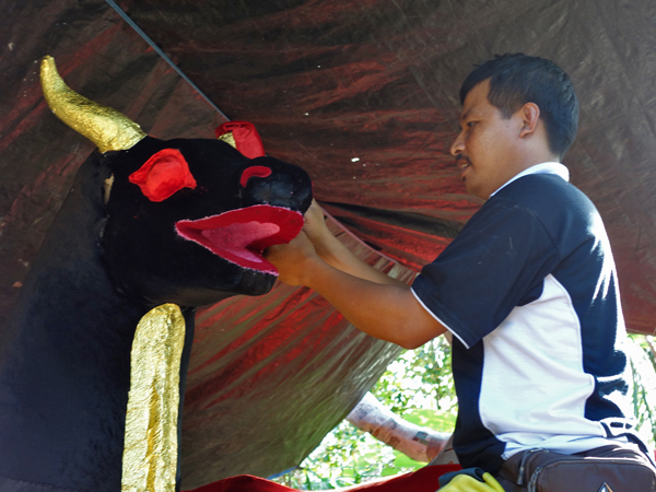 Creating bull