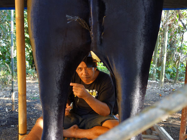 Creating the bull