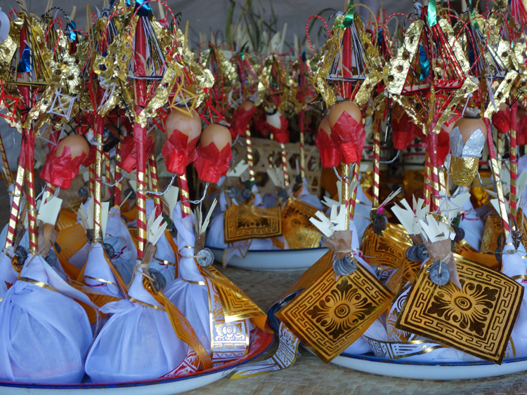 blog many offerings